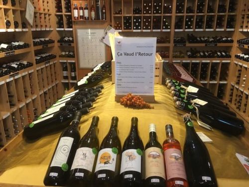Présentation des vins du projet pilote ça Vaud l'retour.